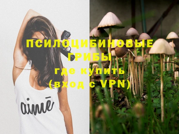 МДПВ Арсеньев